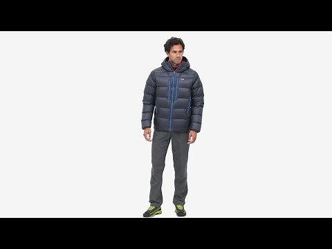 Patagonia® Men's Fitz Roy Down Hoody