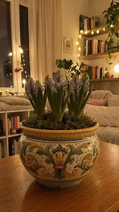 Happy New Year! 🪻 Wishing you a year full of growth, beauty, and blooming gardens! | DUTCH-BULBS.COM