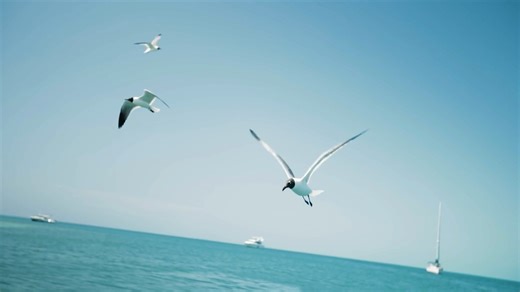 3K views · 26 reactions | ⚡ It's Time For Episode 3⚡ On The Yacht Life tonight at 9 PM/8 C on The Design Network take a tour of Pipe Dream with Captain Cholly and Captain Boomies and all of the on the water activities they engage in. This 65' Estrella is customized to handle anything you can throw at it, and shows why center consoles are one of the most versatile vessels  #HBCYachts #TheYachtLife #TheDesignNetwork | HCB Yachts | Facebook