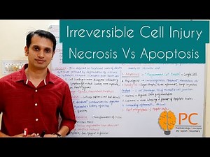 Irreversible Cell Injury or Cell Death Pathology || Necrosis Vs Apoptosis
