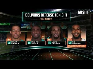 2014 week 13 Miami Dolphins at New York Jets