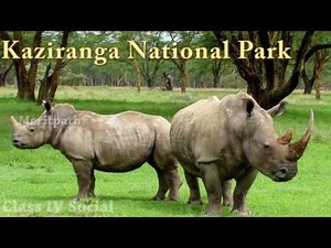 4TH CLASS SOCIAL Northern mountains (HD)