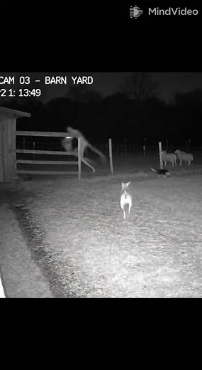 See what I saw 😄 | Oja Moja