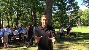 2.5K views · 41 reactions | Sunshine and cooler temperatures this weekend but no complains here. Chief meteorologist Anthony Farnell and Storm The Weather Dog with a few events going on around the GTA. | Global Toronto | Facebook