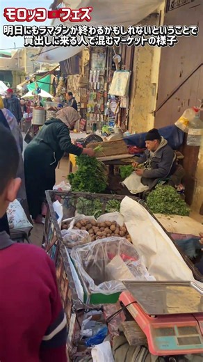 🇲🇦2026ラマダン終盤のフェズ旧市街のマーケットの様子🥔🥕🍆