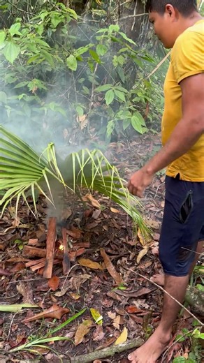 A day in the Amazon rainforest