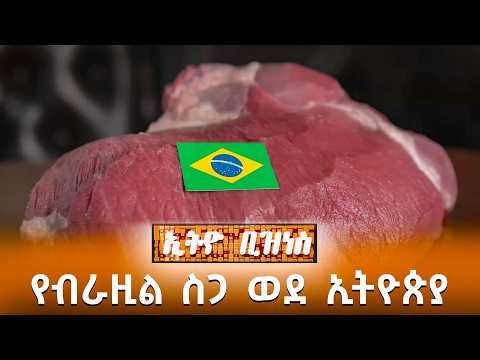 ብራዚል 17 የግብርና ምርቶቿን ወደ ኢትዮጵያ ልትልክ ነው /Ethio Business