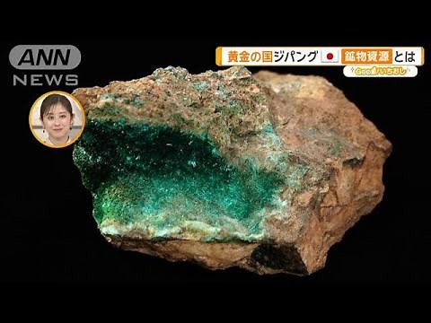 海に大量のレアアース？日本にもある鉱物資源 東大で展示【グッド！いちおし】【グッド！モーニング】(2025年5月1日)