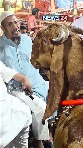 ‘ঢাকা সিটির সবচেয়ে বড় ছাগল’ | NEWS24