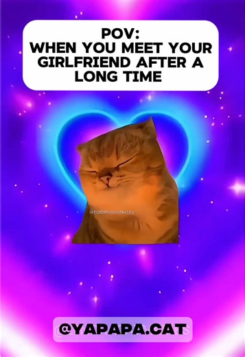 Meet girlfriend after a long time #cat #fy #love #catlover
