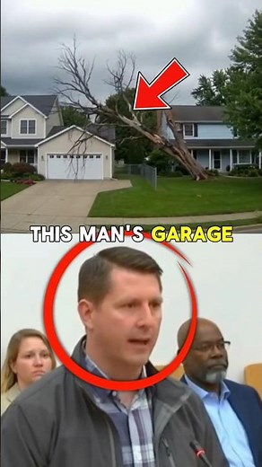 Judge DESTROYS “Act of God” Excuse After Dead Tree Crushes Neighbor’s Garage 🌳⚖️