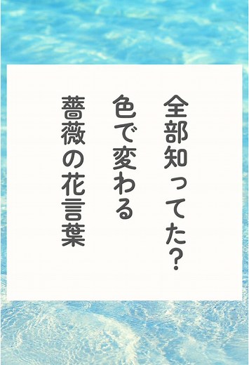 【色で変わる薔薇の花言葉】 #言葉 #言葉の力 #人生 #心に響く言葉 #格言 #名言 #名言集 #恋愛 #豆知識 #雑学