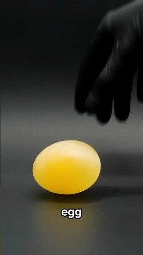 I Turned an Egg into a Bouncy Ball