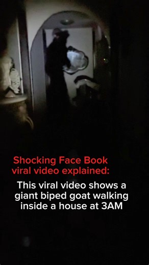 This mutant goat has been invading houses across the US. BE CAREFUL #paranormal | Wout Company