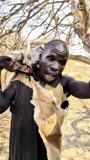 afican hajjve log forest se sikar pakad kar aag pr pakakar khate omevely jmdsanvi