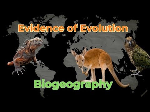 Evidence of evolution: Biogeography