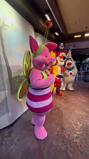 Magical Winnie The Pooh and Friends Halloween Costumes