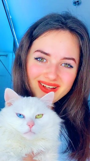 Nu s a teminat prea bine 😢#foryoupage #foryou #romania #viral #cat TikTok