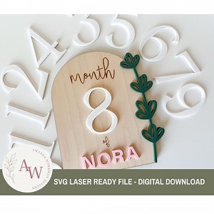 Baby Milestone Cards, Interchangeable Numbers, Floral Detail (SVG Laser Cut File) - Etsy