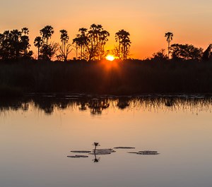 Maun Travel Guide - Expert Picks for your Vacation