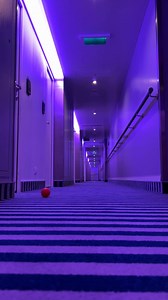 10K views · 216 reactions | Something is haunting the decks of Scarlet Lady, and there's only one way to find out what it is. Join our Halloween sailing to Costa Maya to see what all the fright is about #VVHalloween https://virg.in/4AkP | Virgin Voyages | Facebook