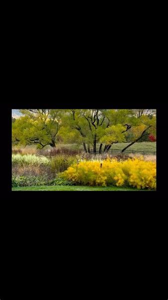 1K views · 22 reactions | Now is the time to design! If you’re interested in working with Northwind for a sustainable perennial garden design this spring, contact us at northwindpf@gmail.com today! | Northwind Perennial Farm | Facebook