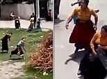 Gypsy children in fight trigger huge battle between their mums