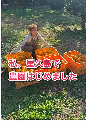 屋久島で無農薬果樹園を始めました！