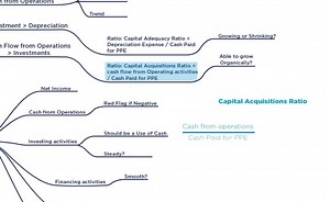 Analyzing the Cash Flow Statement