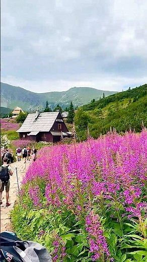Trekking w Tatrach – Hala Gąsienicowa 🌄 | Niesamowite widoki i klimat gór!