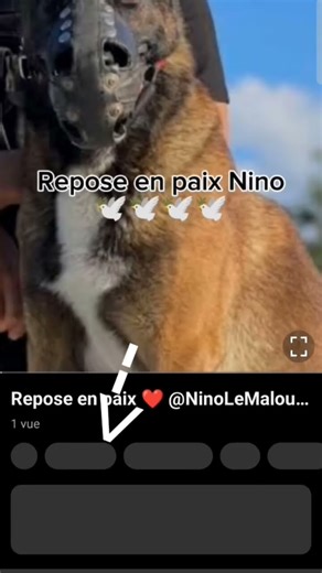 Comment modifier la vitesse d'un short.