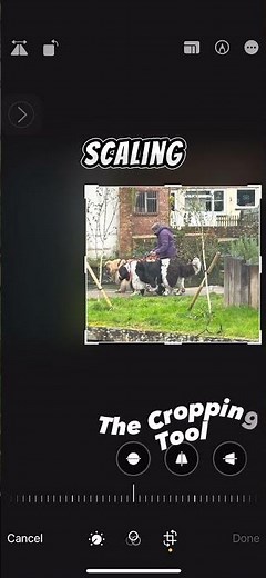 Cropping Like a PRO on Your Iphone Made EASY!