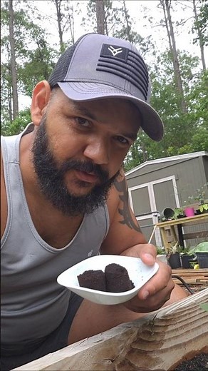 The Hidden Damage Coffee Grounds Do To Plants #gardening #gardeningtips #plants