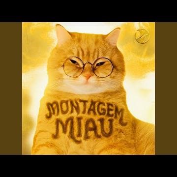 MONTAGEM MIAU