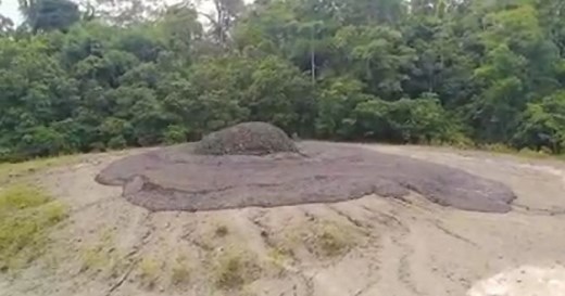 Mud volcano in Tabin, Lahad Datu 'erupted' | New Straits Times