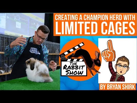 Creating a Champion Rabbit Herd with a Limited Number of Cages by Bryan Shirk