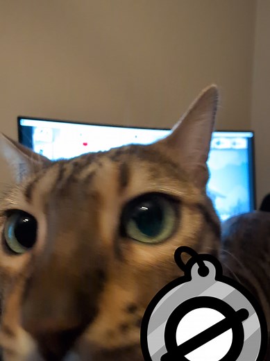 Exploring Mewgenics and Its Impact on Bengal Cats
