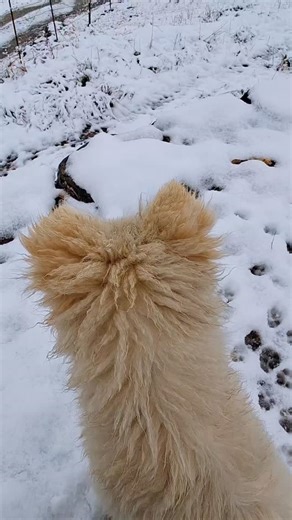 Upper Mustang Dakmor tira jam | HEm RAj Magar