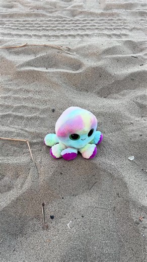 butters first time at the beach🥰🌊🌴