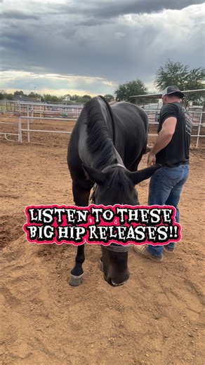 Listen to these big hip pops! Love when I get good releases like these in a horse’s hips! It feels so good for them and drastically improves their movement! Want to learn how to stretch your horse’s? Comment the word “stretch” or go to horsestretches.com! #SportHorseChiropractic | Sport Horse Chiropractic