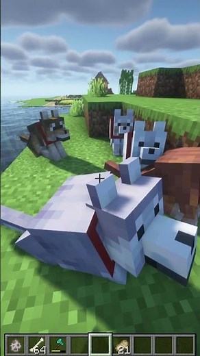 COMO CONSEGUIR OS 9 NOVAS VARIANTES DE LOBOS MINECRAFT (JAVA E BEDROCK)