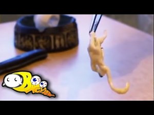 Disturbing Homunculus Experiments Explained | Hoax or a Possibility?