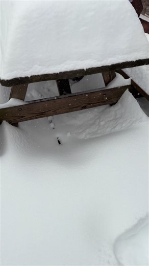 I can’t make this up plz any donation will help #arsenal #soccer #fifa lmaooo