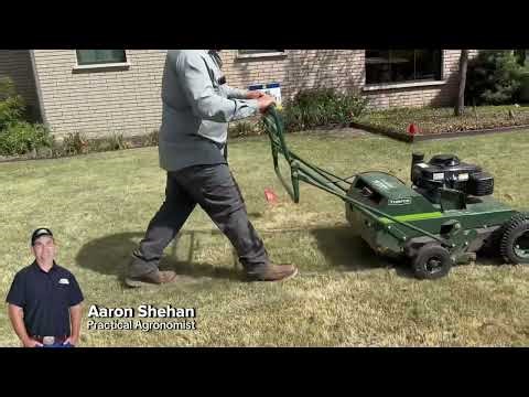 Why Your Zoysia Lawn Looks Bad in Spring (Fort Worth Power Raking Fix)