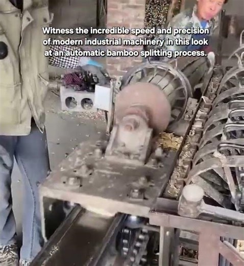 High-Speed Automatic Bamboo Splitting and Cutting Process