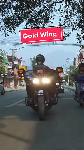 Ultimate Touring Machine: Exploring the Gold Wing