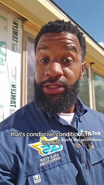 Easy Tips to Handle Termite Infestations