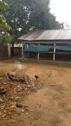 😍😍😍😍😍😭😭😭😭এ😭