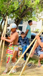 Akkad Relay during the Ap-appoh (Indigenous Games Competition) of the Gotad ad Ifugao 2025 | June 15, 2025 #GotadadIfugao #Ifugaoprovince #ifugaoCulture #TalentedPinoys | TalentedPinoys