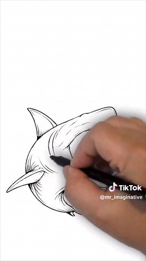 How to Draw a Megalodon Shark Easily